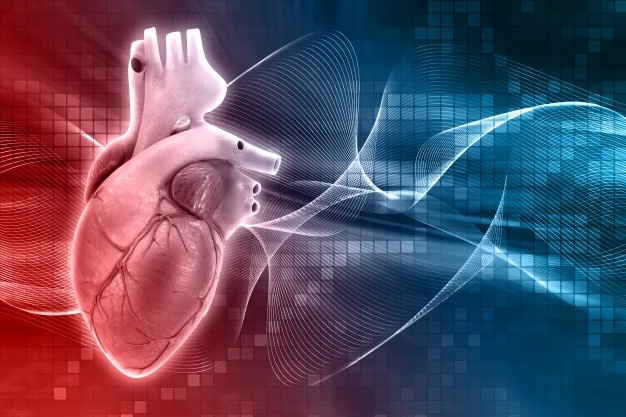 cardiology image